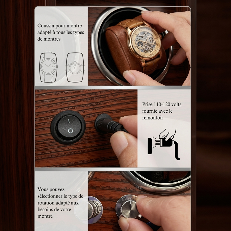 Remontoir Automatique 6 Montres – Éternité Douce